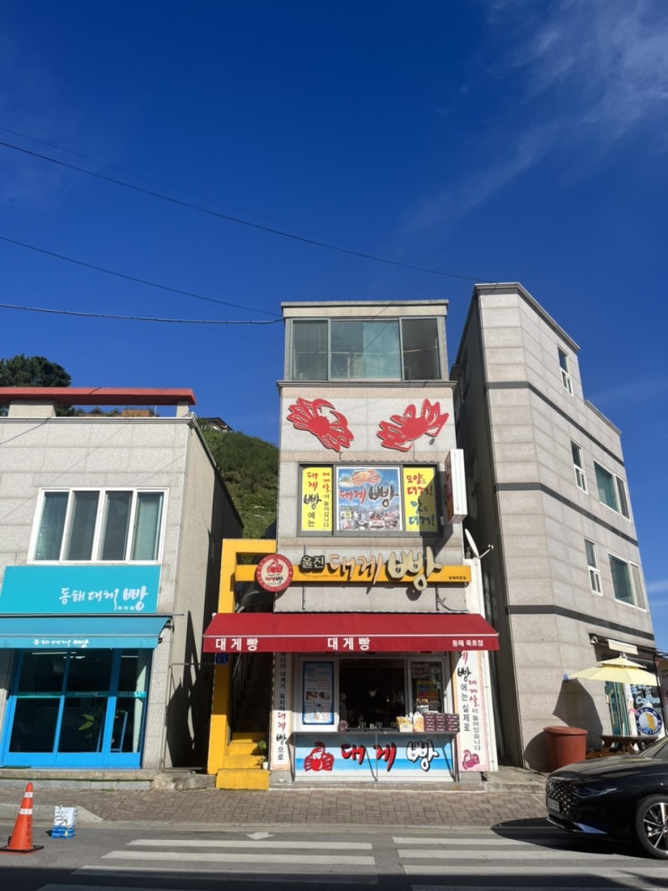  동해여행 # 동해맛집 / 동해여행 간식 추천 : 울진대게빵 동해묵호점