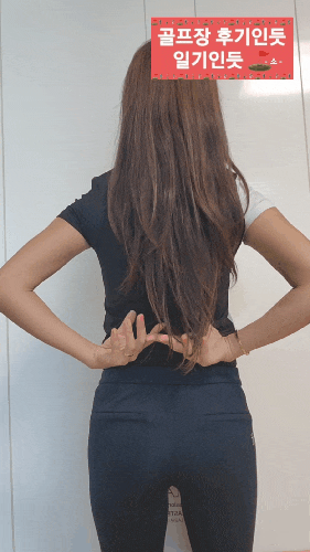  숱많은 긴머리 헤어드라이기 추천(라샤 전문가용 드라이기)