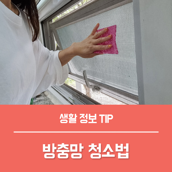  방충망 청소법 4가지, 아파트 현관 미세먼지 스텐 방충망 특징