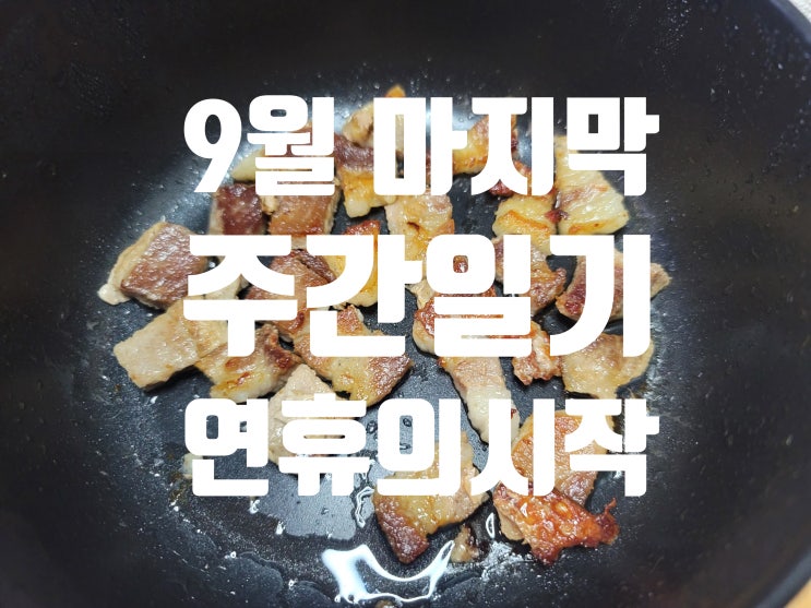 하루 당겨쓰는 9월 마지막 주간일기