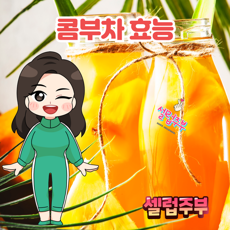 콤부차 효능 12가지 칼로리 및 부작용 : 네이버 블로그