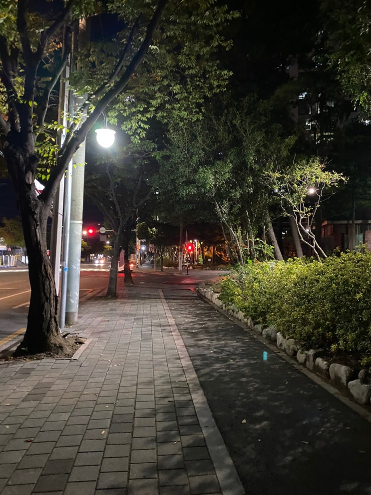  내 삶의 버킷리스트