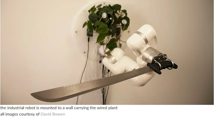 살아있는 식물이 로봇 칼을 움직인다  