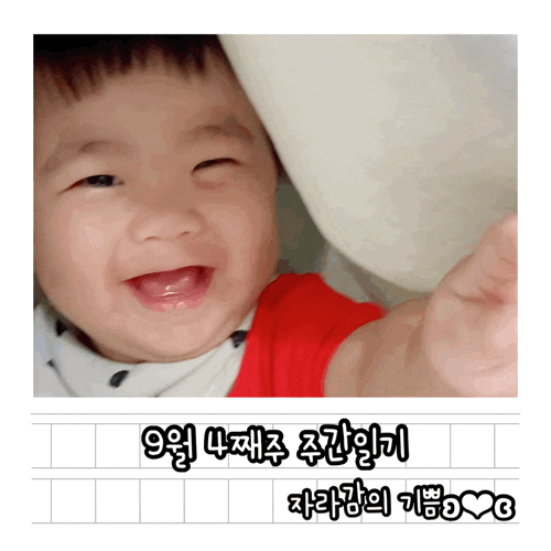  9월 4째주 주간일기