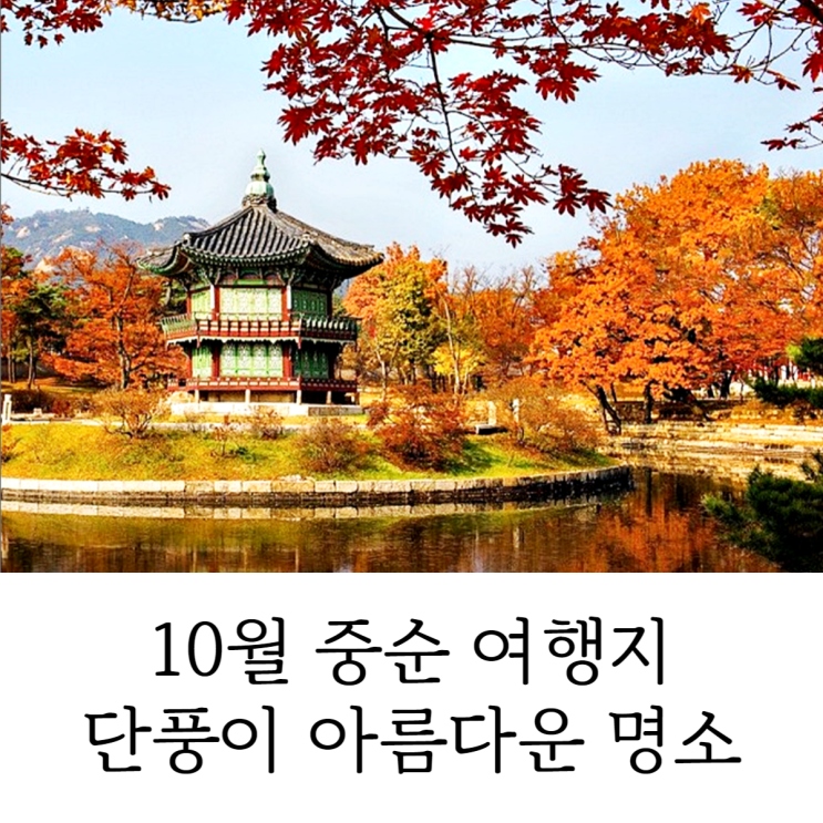  10월 중순 여행지 단풍이 아름다운 가을 명소 2022 단풍시기 총정리