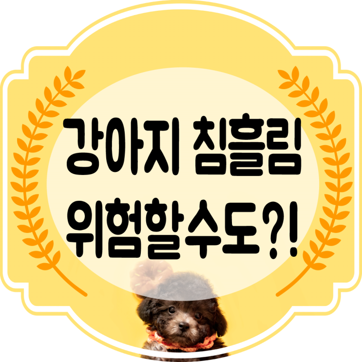  강아지 침흘림 증상 !! 생각보다 위험할수도?? 