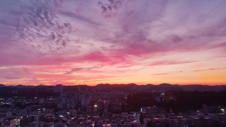  주간일기챌린지 vol.16