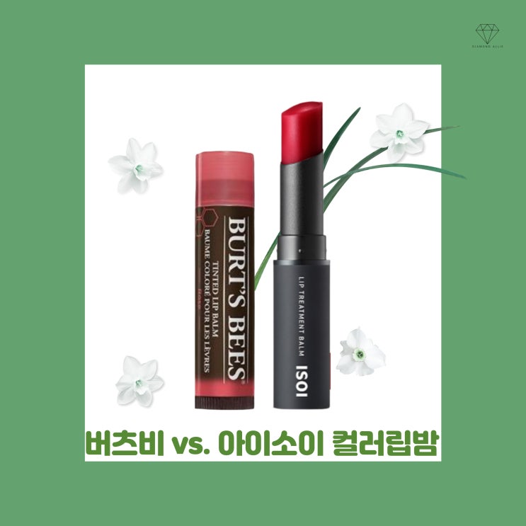  [내돈내산] 컬러립밤 버츠비 vs. 아이소이 비교 및 솔직 후기