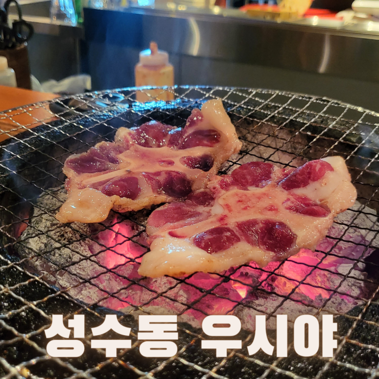 [서울 성동구] 성수동 고기집 ::우시야 성수점::C코스 후기