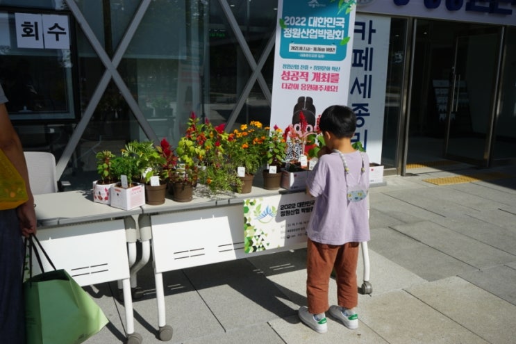 시민의 꽃탑회수 세종 <b>대한민국  정원산업박람회</b> 시민의꽃탑... 