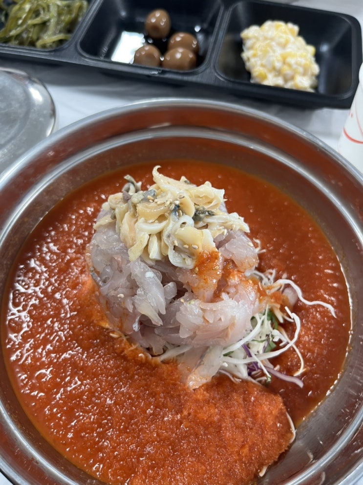  동해맛집 # 묵호역과 가까운 물회 찐맛집 : 오부자냄비물회
