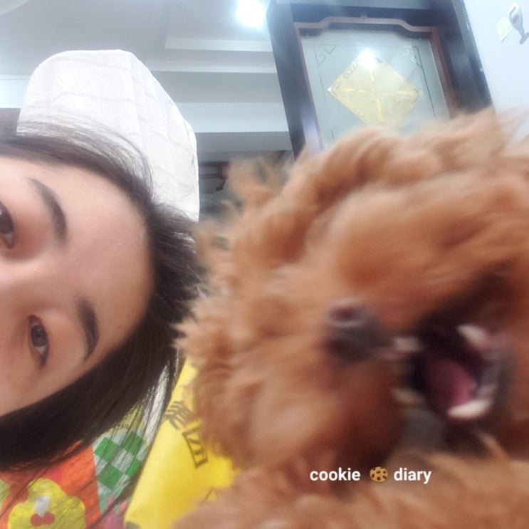  쿠키 :)  다이어리