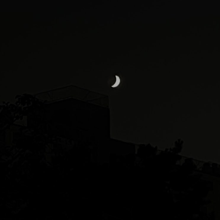  바쁜일주일