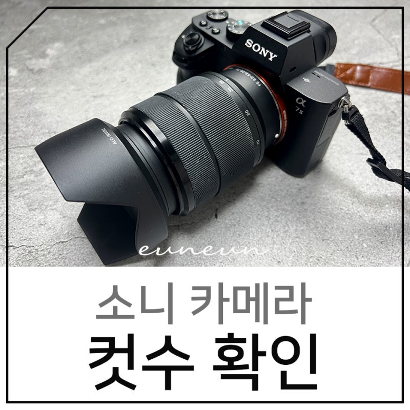 캐논 니콘 소니 카메라 컷수 확인하는 방법