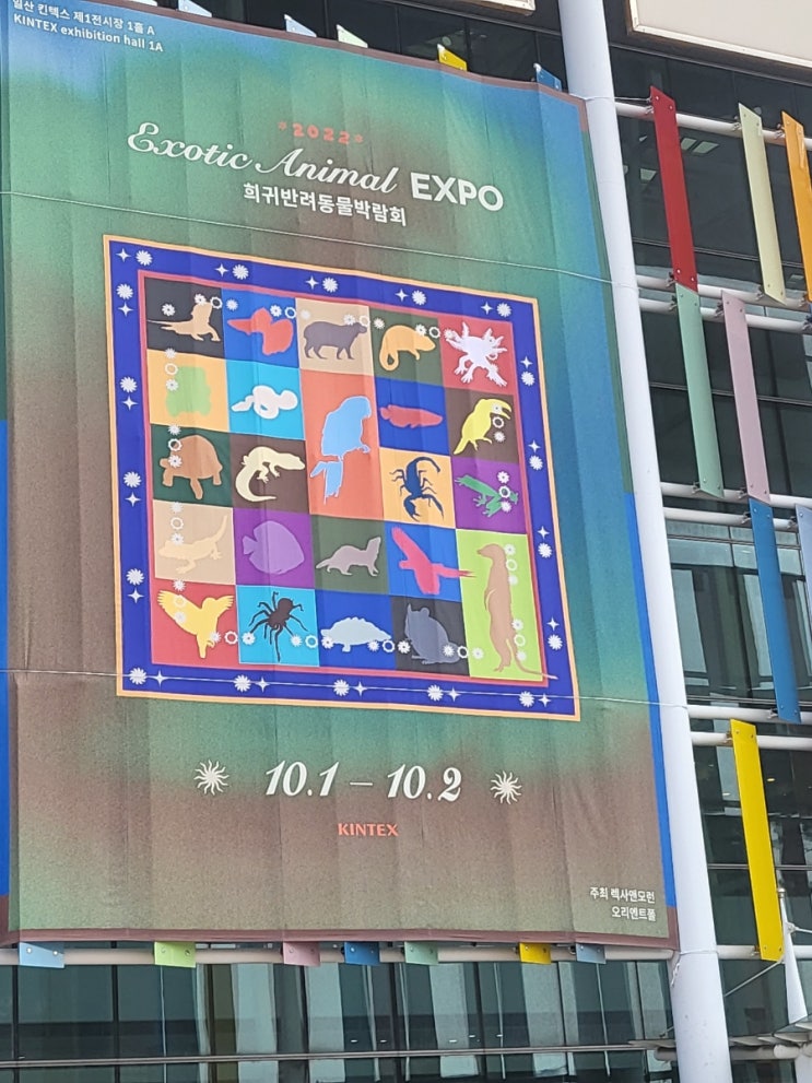 2022 킨텍스 희귀반려동물 박람회 방문기 2022 킨텍스 희귀반려동물 박람회 방문기