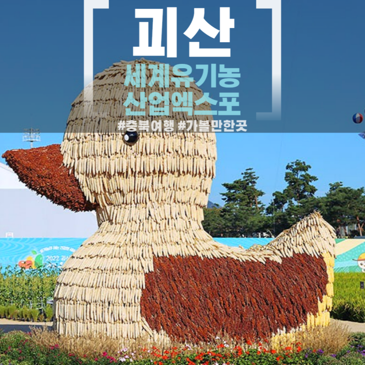 충북 여행 2022 괴산세계유기농산업엑스포 주차장 괴산 가볼만한곳