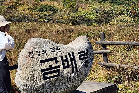 숲향여행사 이미지