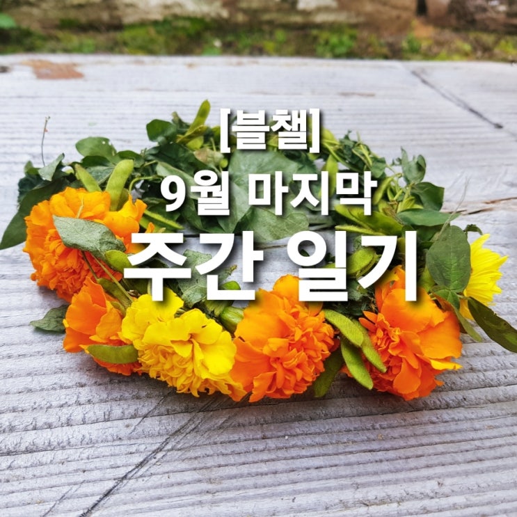 [블챌] 9월 마지막 주간 일기