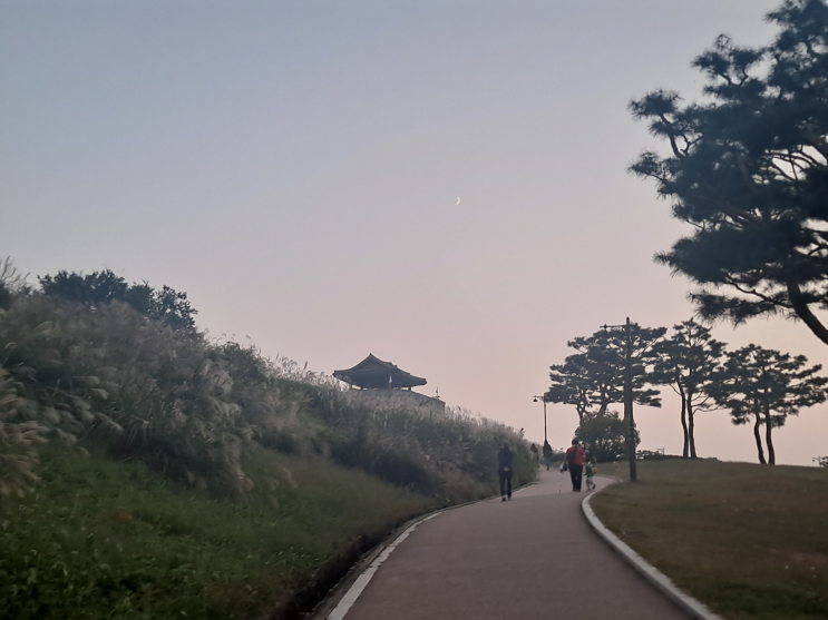  오후의 힐링(9.30)