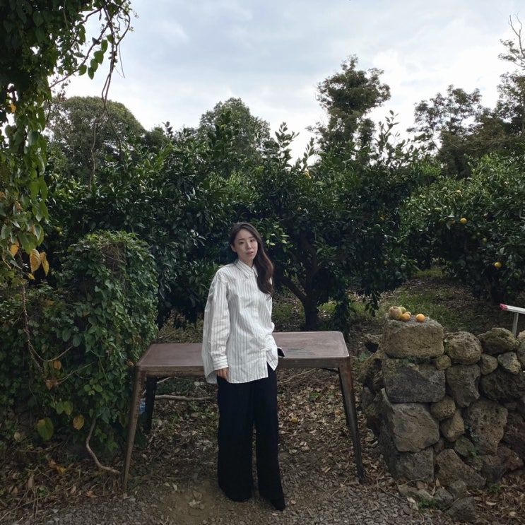  [제주 카페 투어] 풀베개(Cafe Pullbege)에 다녀왔어요.