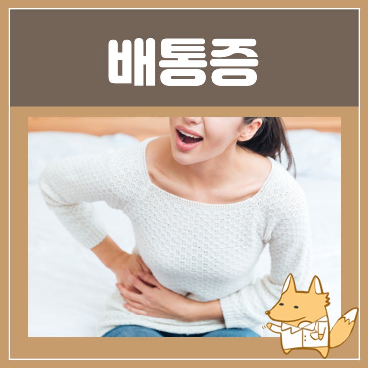  왼쪽배통증 : 여자 남자 왼쪽 아랫배 통증 배통증 상복부 하복부 통증, 복통