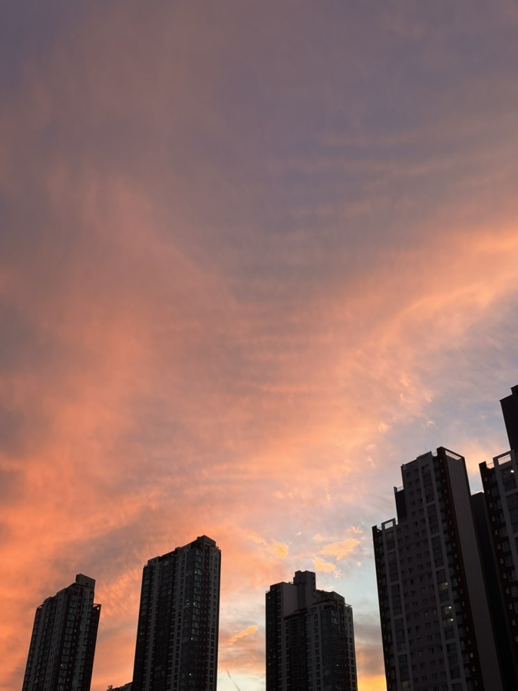 행복과 불행, 삶과 죽음, 정신과 육체, 풍요와 빈곤 행복과 불행, 삶과 죽음, 정신과 육체, 풍요와 빈곤