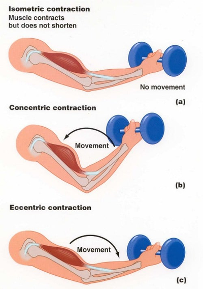 인천통증재활/무릎 앞쪽 통증, 슬개건병증(Pattella Tendinopathy)