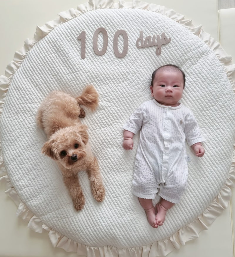 110일째 (뒤집기, 수면교육, 백일파티)