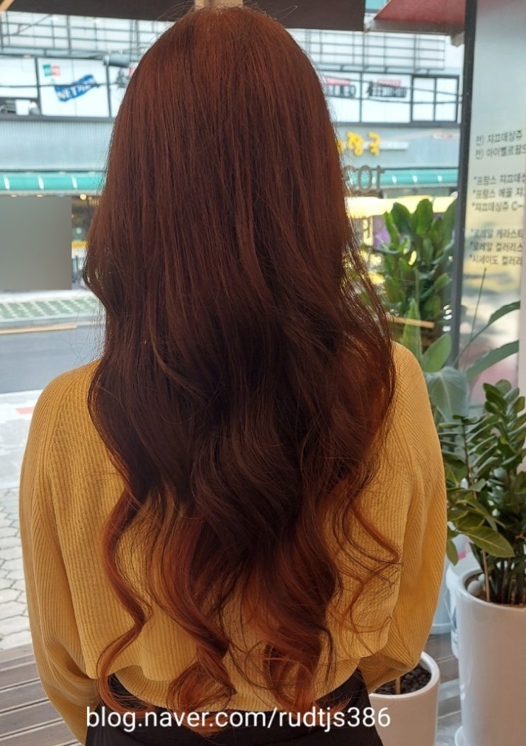  서울 강서구 등촌동 헤어샵 103hair 내돈내산 솔직후기(대만족) #졸연준비1화