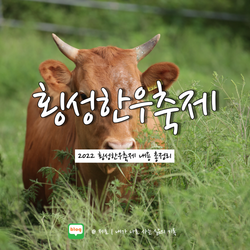  2022 횡성한우축제 가격 라인업 일정 알아보자