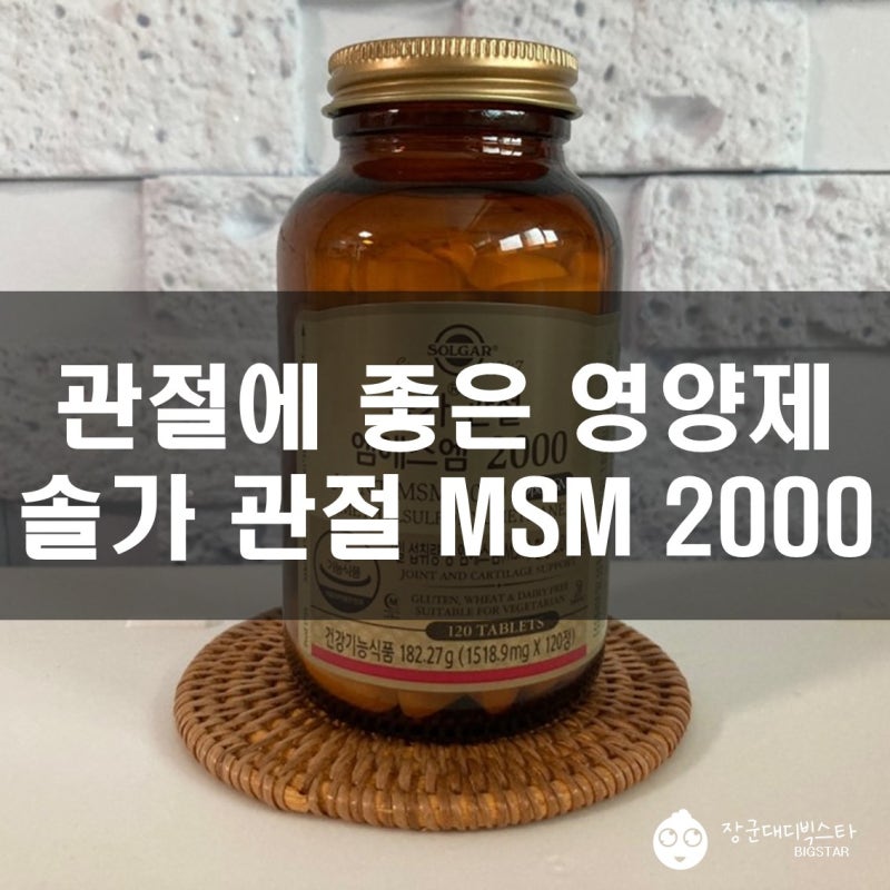 관절에 좋은 영양제 솔가 관절 MSM 2000