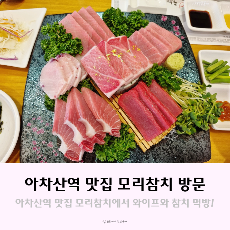 아차산역 맛집, 모리참치에서 고퀄리티 참다랑어 먹었던 후기 아차산역 맛집, 모리참치에서 고퀄리티 참다랑어 먹었던 후기
