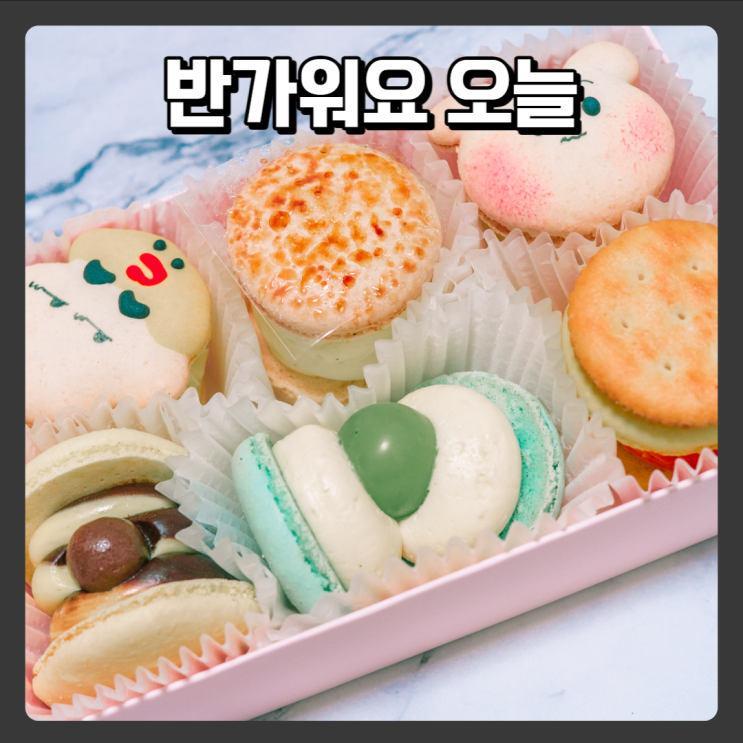  한남대근처 대전마카롱맛집 - 반가워요오늘