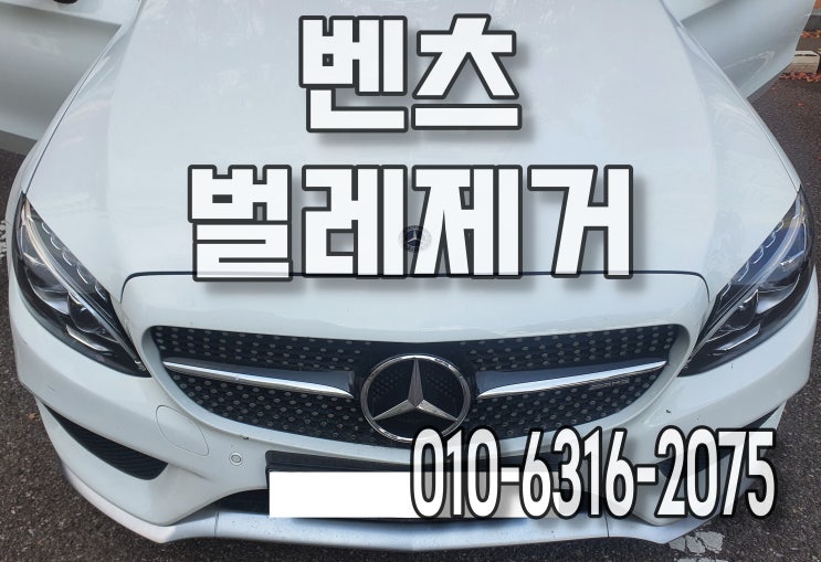  벤츠 자동차 트렁크 청소 쓰레기방치 구더기 벌레제거 내부세차