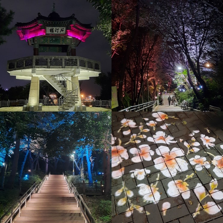 동인천 야경맛집 자유공원 밤산책