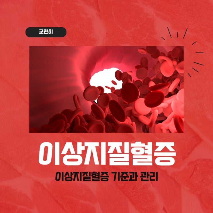  이상지질혈증 기준 관리 약 필요해요!