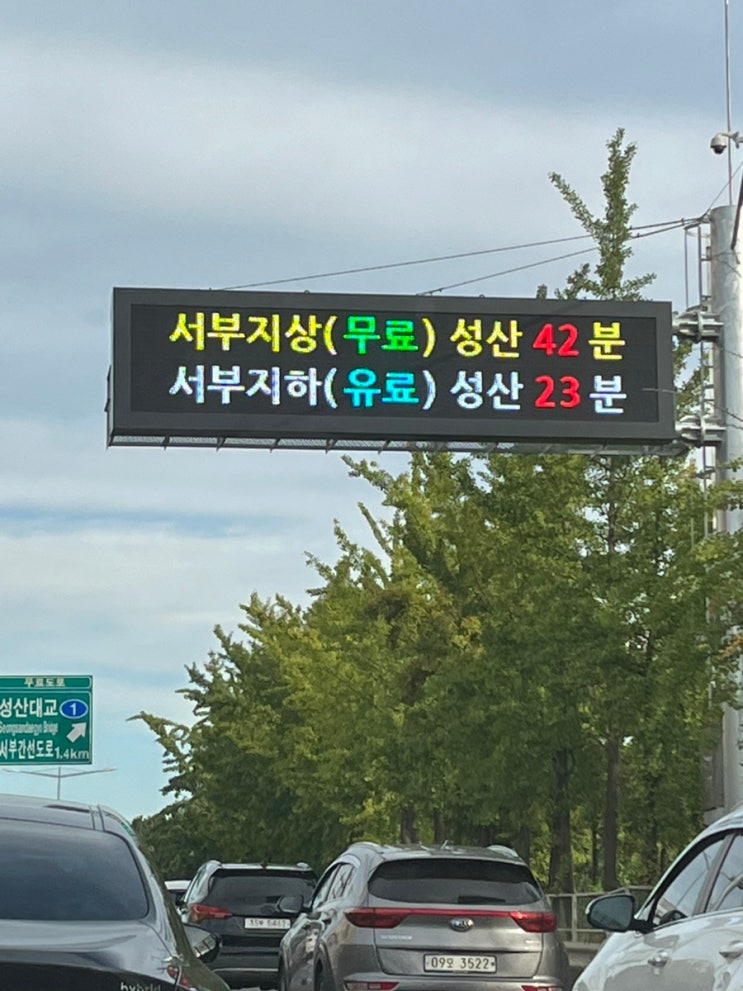  불법 유턴