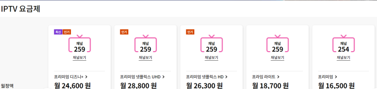  IPTV 프리미엄 넷플릭스 HD / UHD 요금제 인상 안내(11월1일)