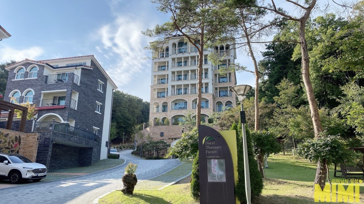  에버랜드숙소 더숨포레스트 용인호텔 다녀왔어요
