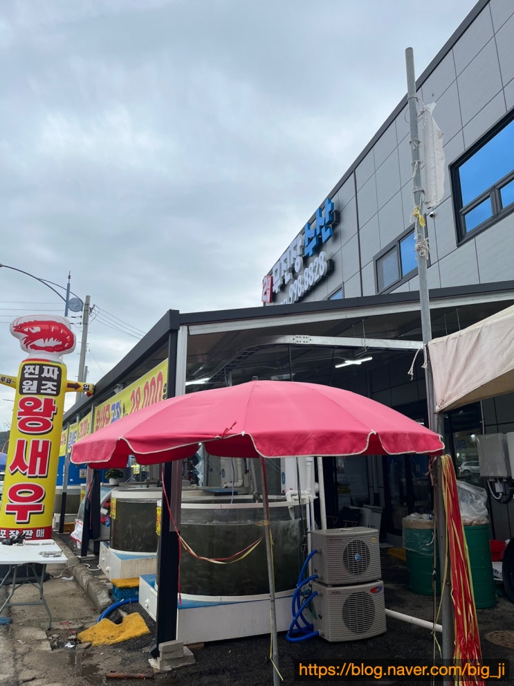  대명항 무진장수산 왕새우 kg 28000원 (매년 찾는 맛집)