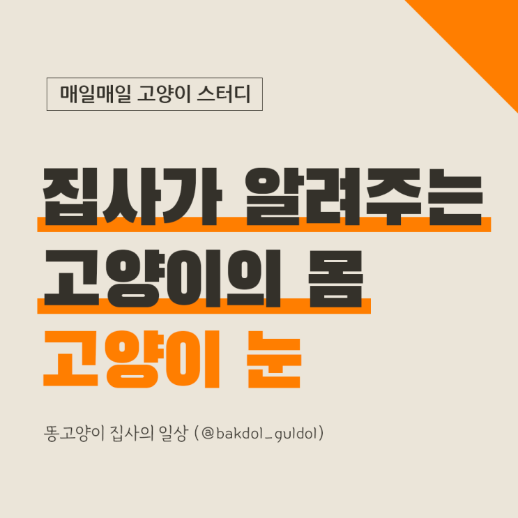  고양이의 눈동자 색깔, 시야와 시력, 하얀 고양이는 난청?