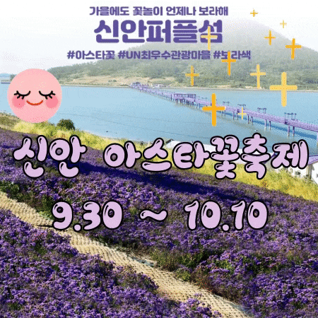 신안 퍼플섬 아스타꽃 축제 ㅣ반월도 박지도 퍼플교 여행 무료입장 Tip