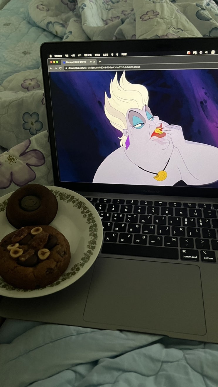  부지런히 만났습니다