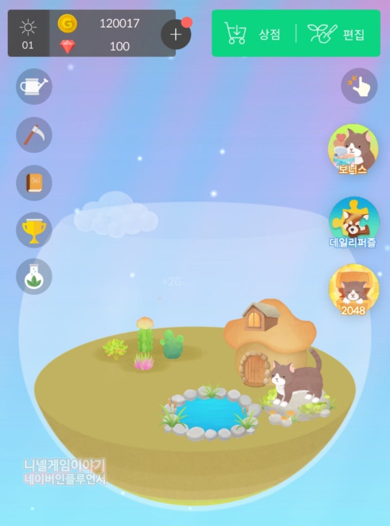 녹보수 나무, image size:800x1080