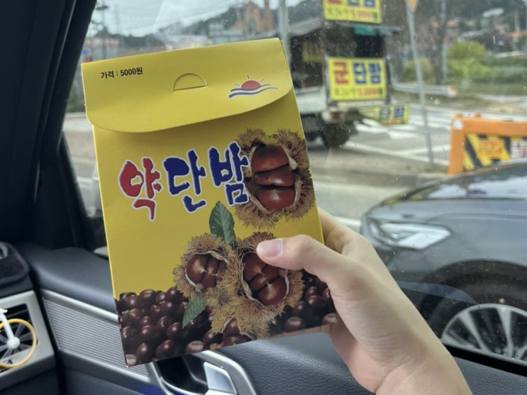  [일상] 가을에는 군밤 장수가 파는 약단밤