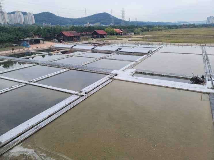  주간일기