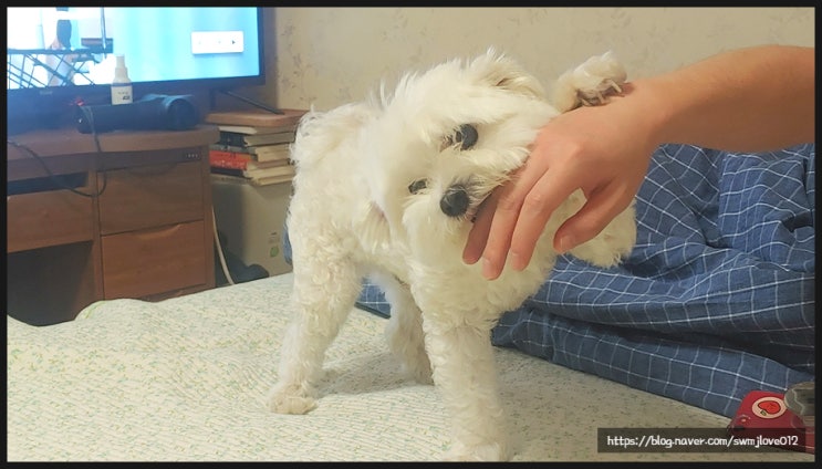  16주 차 주간일기 챌린지