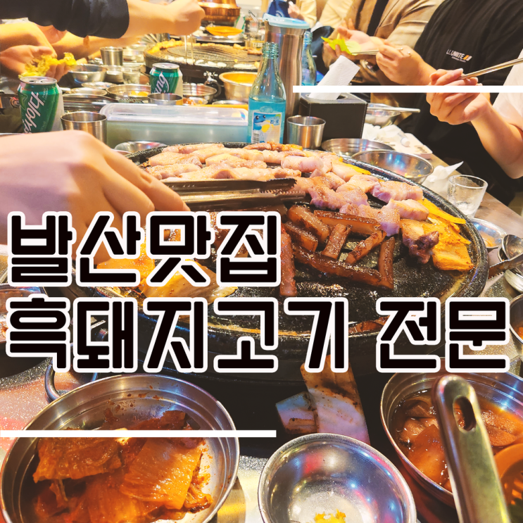  발산역 맛집 l 흑돼지삼겹살 고기맛집, 제주상회 마곡발산점