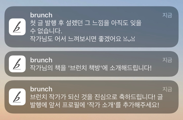  브런치 작가 신청 (첫 시도, 하루 만에 승인된 후기)