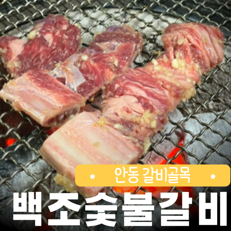  안동 백조갈비 갈비골목 가볼만한곳 먹거리 여행 추천